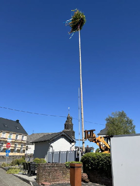 Maibaum2026__75_1024